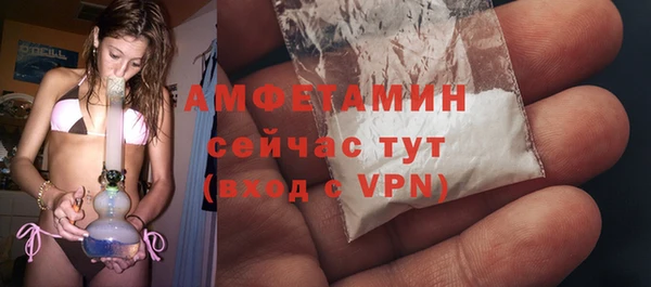 прущие грибы Богданович
