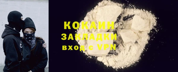 прущие грибы Богданович