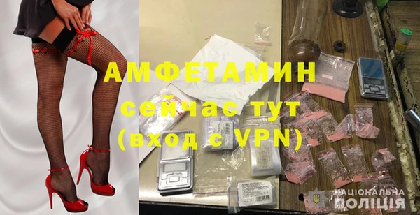 прущие грибы Богданович