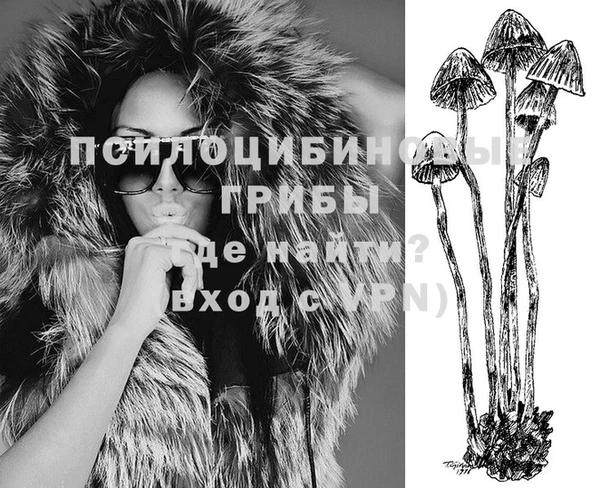 тгк Богородицк
