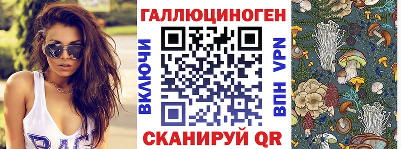 где купить наркоту  ссылка на мегу сайт  Псилоцибиновые грибы Psilocybe  Шумерля 